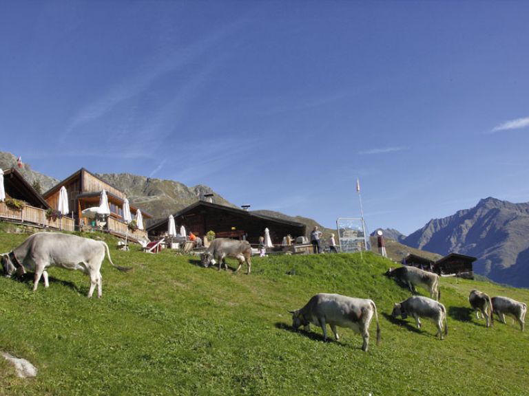 Enjoy the Tyrolean nature Hut on the alpine pasture in Tyrol